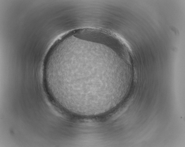 X0000115330580200911231414