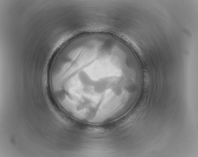 X0000115330582200911231414