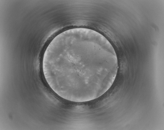 X0000115330584200911231414