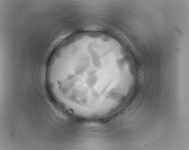 X0000115330586200911231414