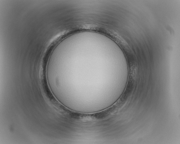 X0000115330587200911231414