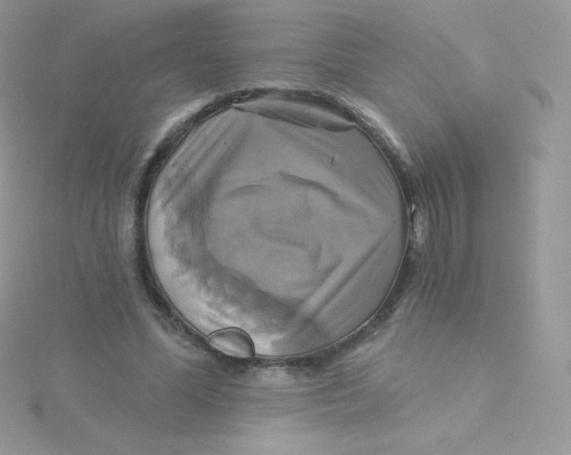 X0000115330588200911231414