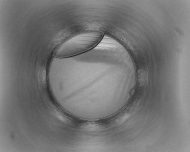 X0000115330589200911231414