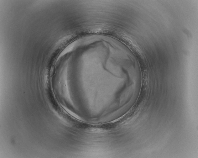 X0000115330590200911231414