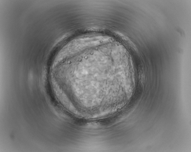 X0000115330591200911231414