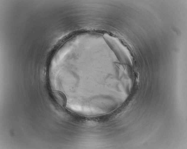 X0000115330592200911231414