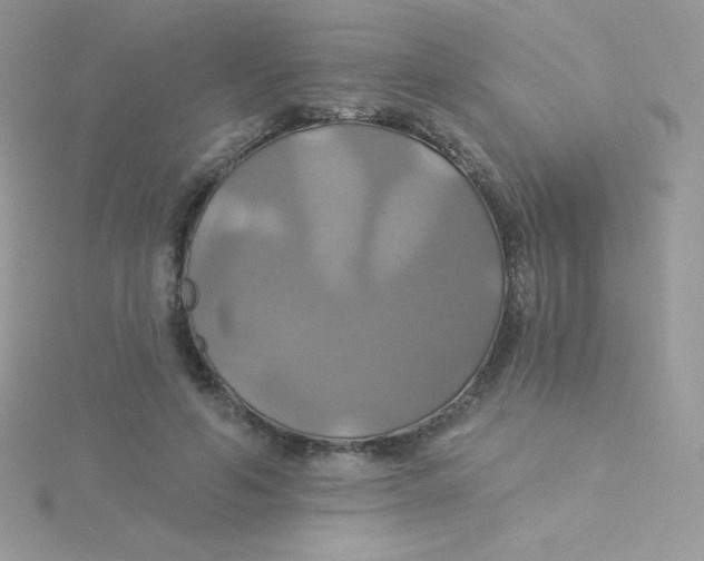 X0000115330594200911231414