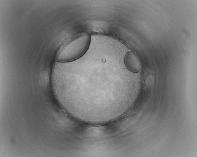 X0000115330595200911231414