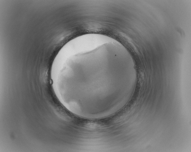 X0000115330596200911231414