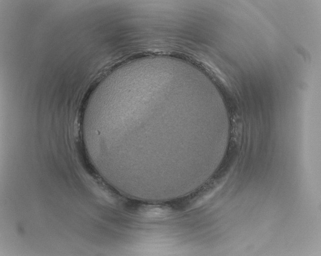 X0000115330597200911231414