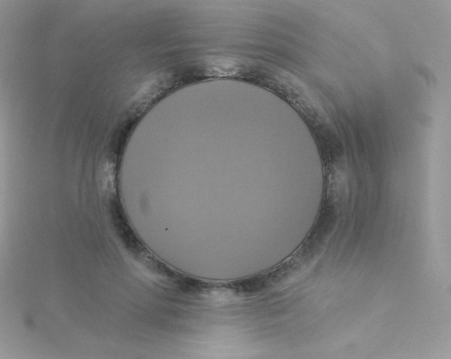 X0000115330598200911231413