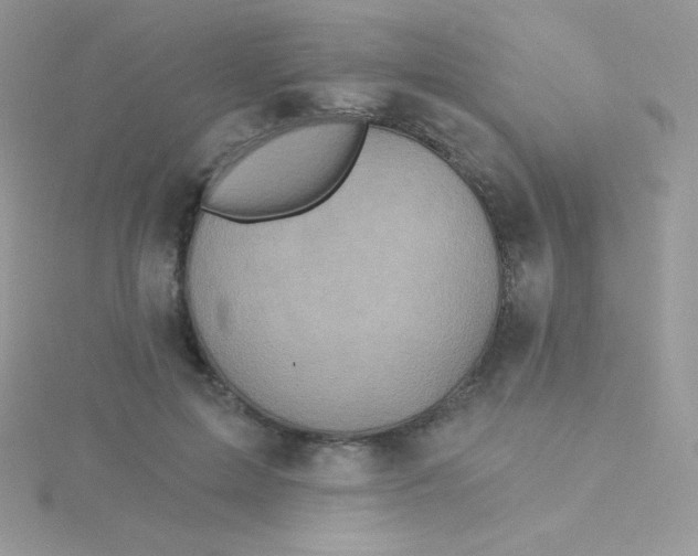 X0000115330599200911231413