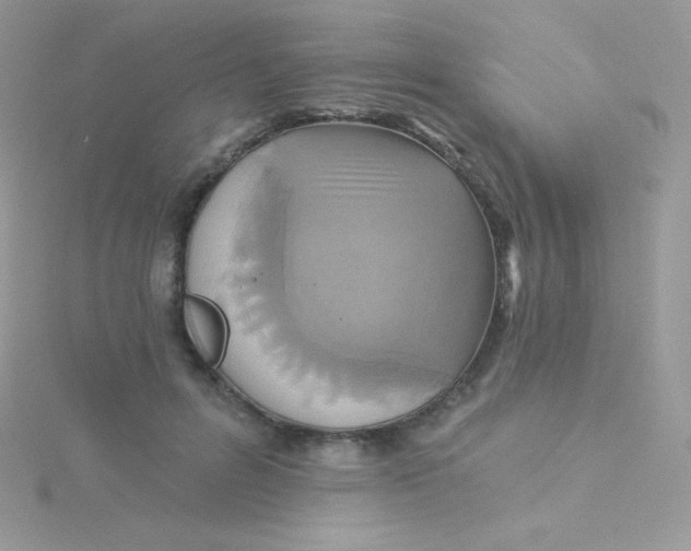 X0000115330600200911231413