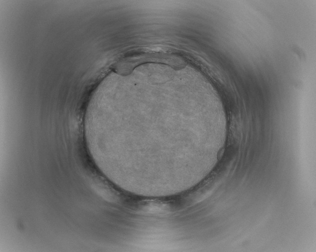 X0000115330601200911231413