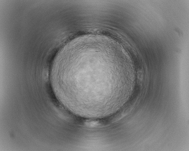 X0000115330602200911231413