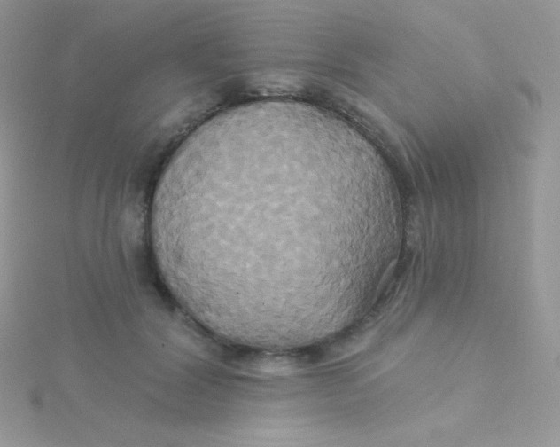 X0000115330604200911231413