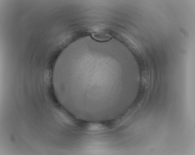 X0000115330605200911231413