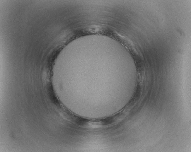 X0000115330606200911231413