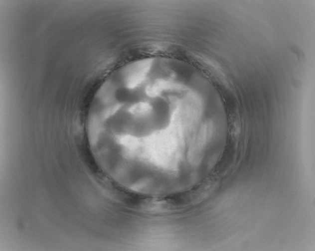 X0000115330607200911231413