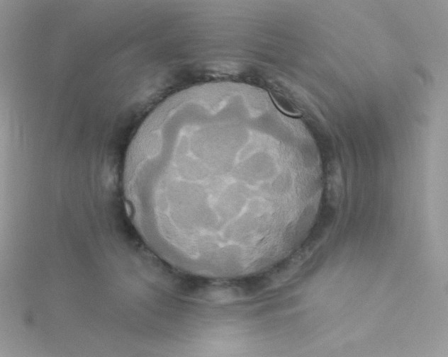 X0000115330608200911231413