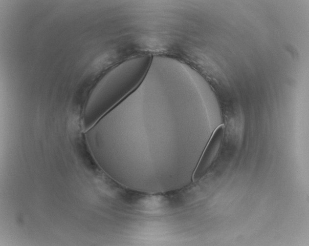 X0000115330609200911231413