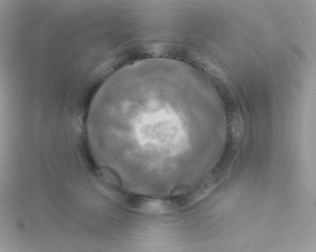 X0000115330611200911231413