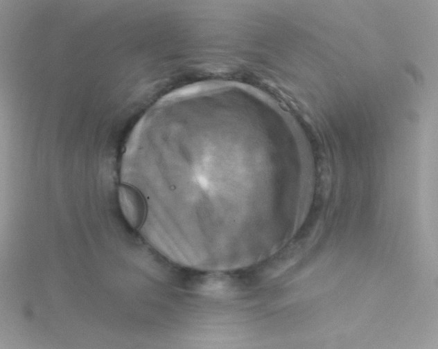 X0000115330612200911231413