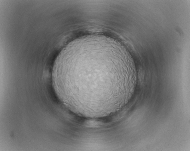 X0000115330614200911231413