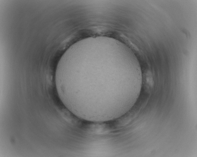 X0000115330615200911231413