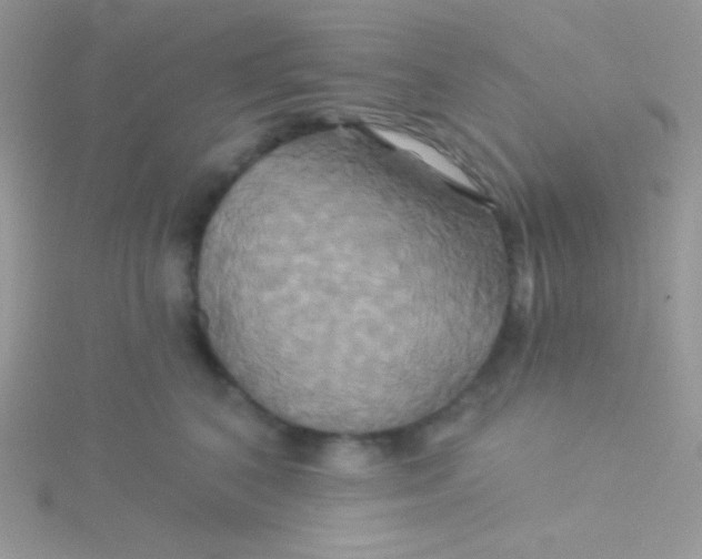 X0000115330616200911231413