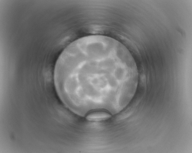 X0000115330620200911231413