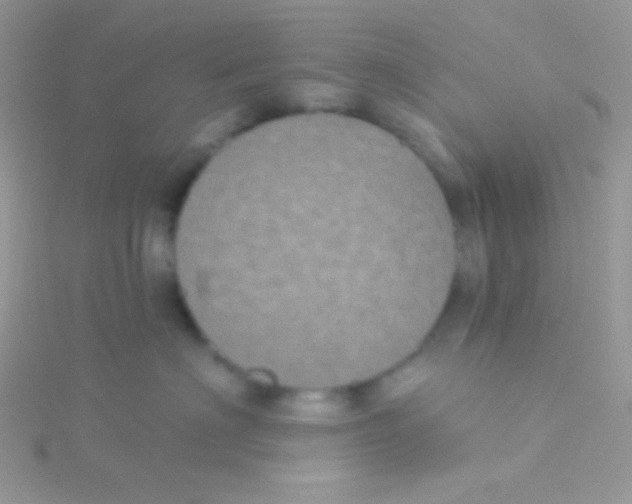 X0000115330622200911231413