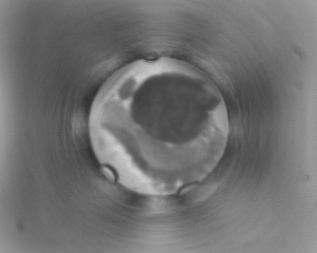 X0000115330623200911231413