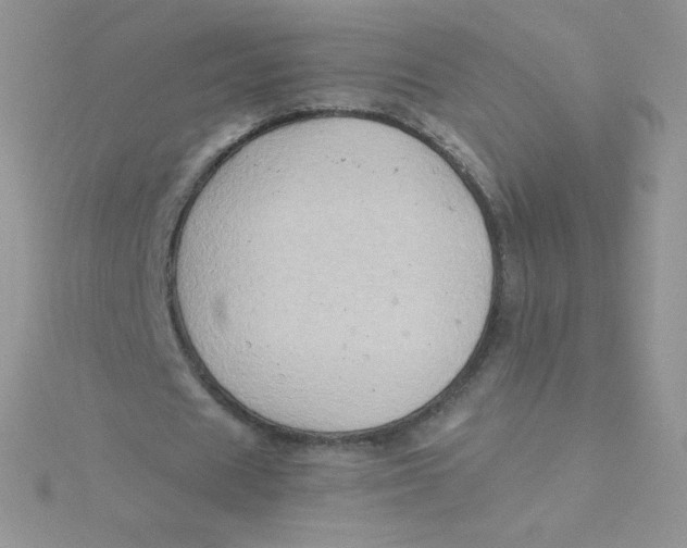 X0000115330625200911231412