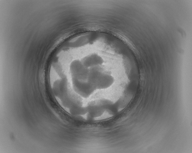 X0000115330626200911231412