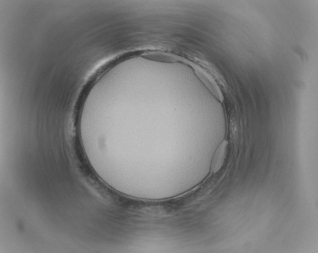 X0000115330628200911231412