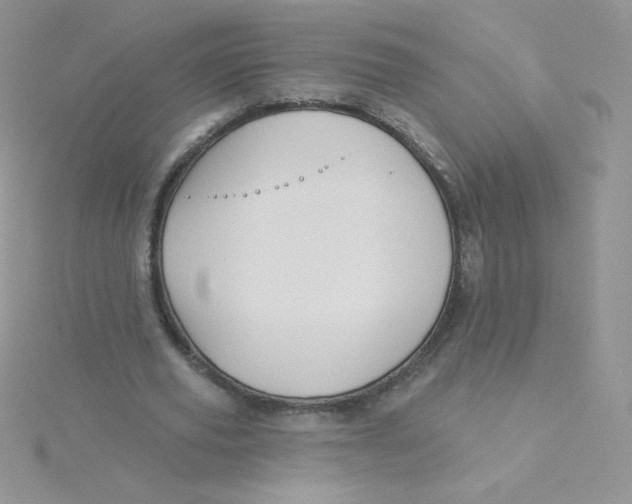 X0000115330629200911231412