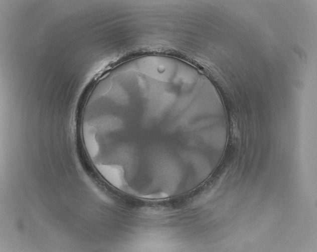 X0000115330630200911231412