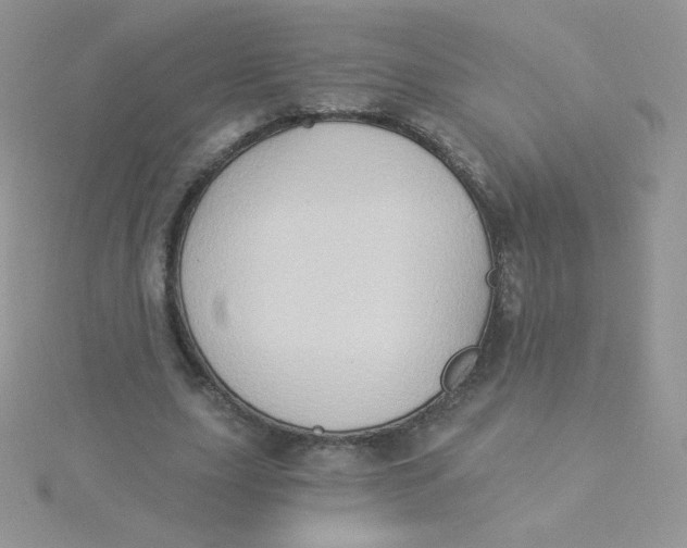 X0000115330631200911231412