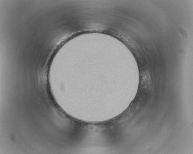 X0000115330632200911231412