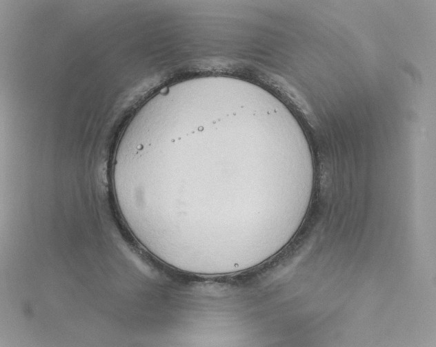 X0000115330633200911231412