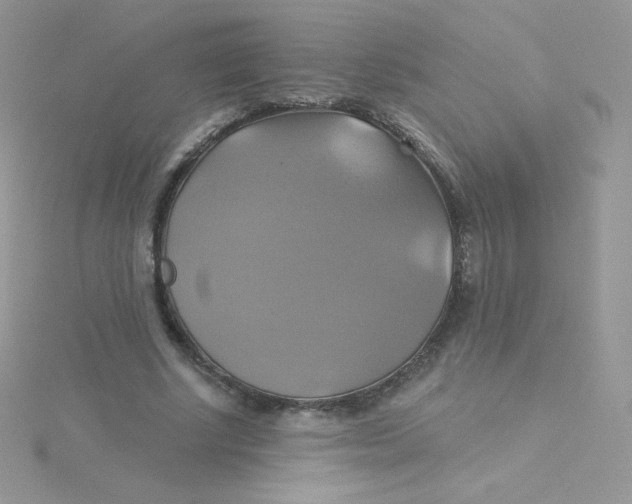 X0000115330634200911231412