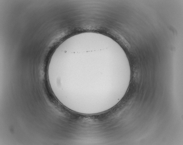 X0000115330635200911231413