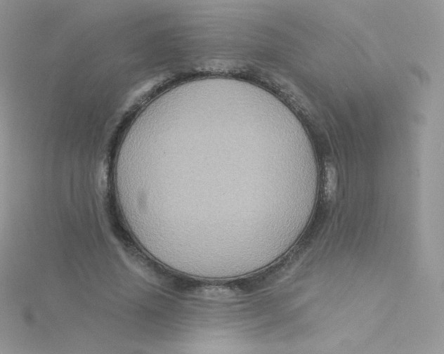 X0000115330636200911231413