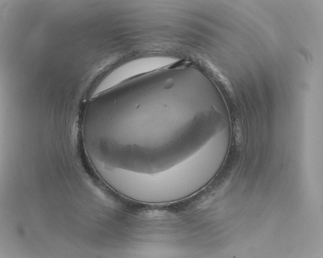 X0000115330637200911231413