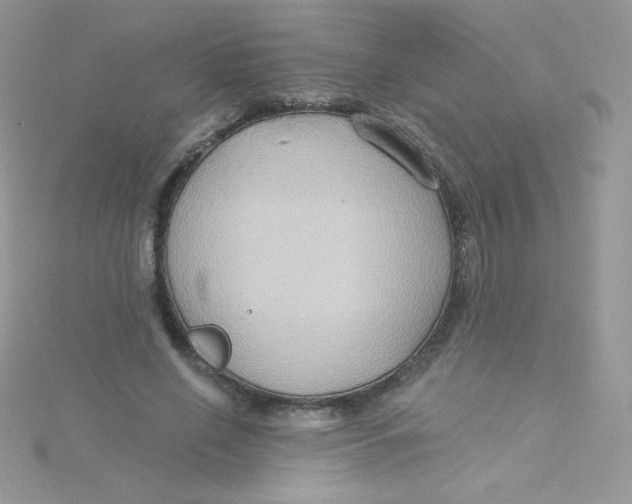 X0000115330638200911231413