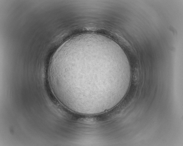 X0000115330639200911231413