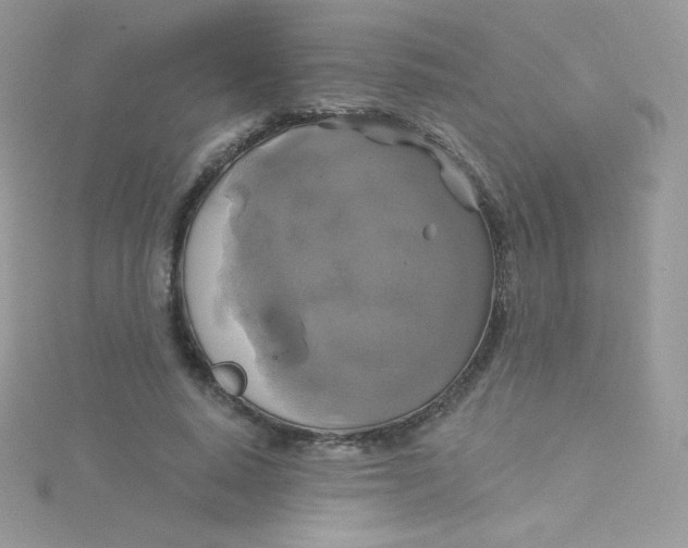 X0000115330640200911231413