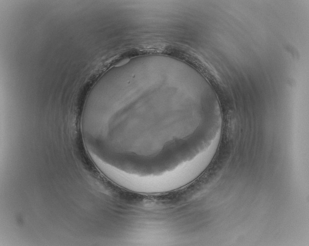 X0000115330641200911231413