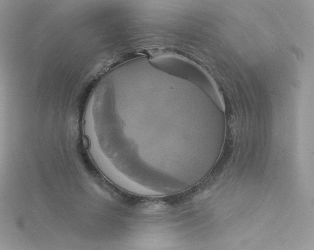 X0000115330642200911231413